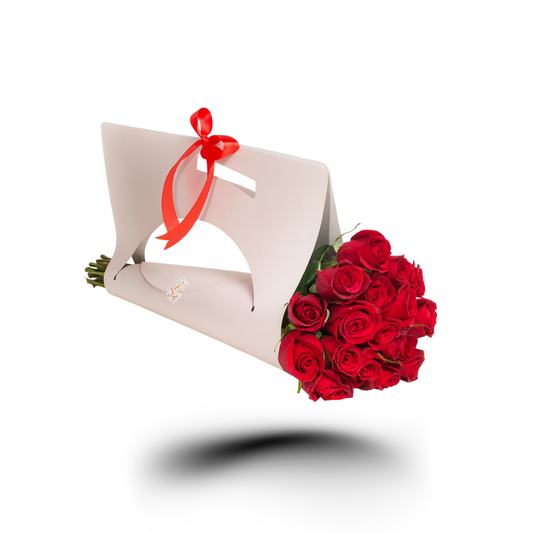 Scarlet Gift Carrier