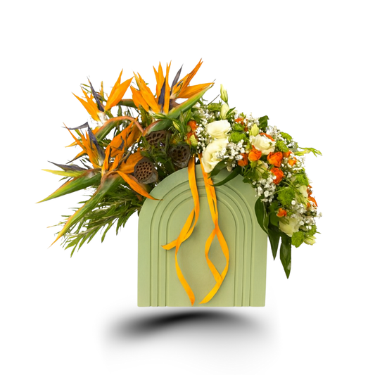 Tropical Arc Ensemble