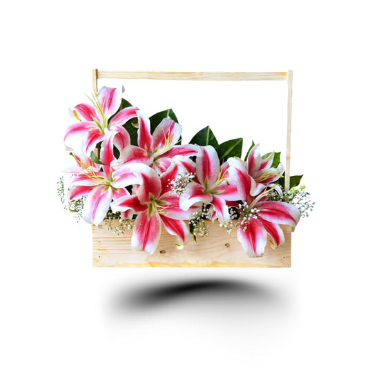 Starlight Lily Crate