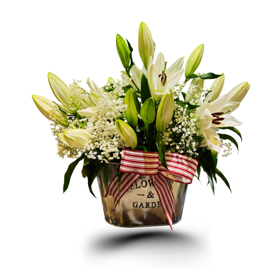 507 - Luminous Repose - Fleurissimo Boutique