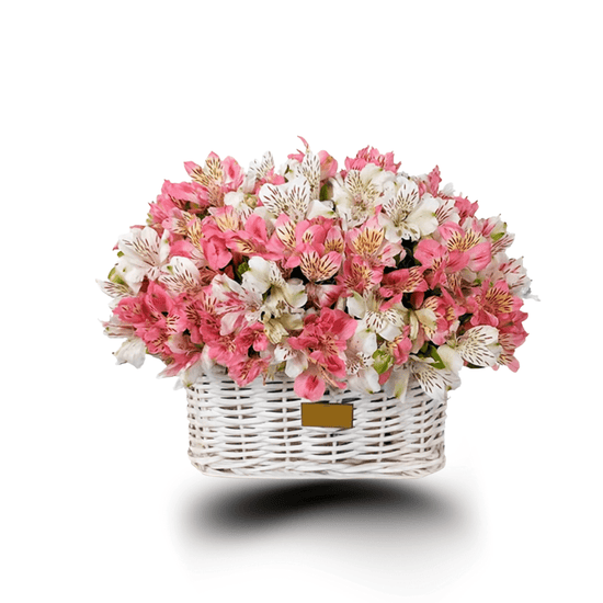 Pink Alstroemeria Delight - Fleurissimo Boutique